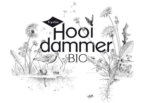 logo identity